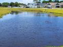 Scenic community pond with lush green banks and a variety of waterfowl swimming in the water at 404 Lifestyle Court, Surfside Beach, SC 29575