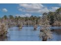 Picturesque view of a serene body of water with cypress trees at 117 George Washington Trail, Georgetown, SC 29440
