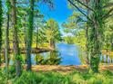 Picturesque view of a tranquil lake nestled within a wooded landscape at 4090 Lake Shore Dr., Little River, SC 29566