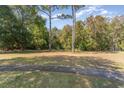 Image of a vacant lot surrounded by mature trees, offering a serene setting for building a dream home at 9684 Ravello Ct., Myrtle Beach, SC 29577