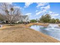 Beautiful home exterior featuring a pond with a fountain and lush greenery enhancing its curb appeal at 1069 Williston Loop # 1069, Murrells Inlet, SC 29576