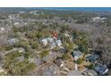 Expansive aerial view showcasing a tranquil neighborhood surrounded by green trees and distant ocean views at 170 Minnow Dr., Pawleys Island, SC 29585