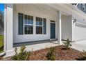 Inviting front porch featuring white columns, a blue front door, and neat landscaping at 2420 Campton Loop, Conway, SC 29527