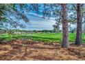 Scenic view of a golf course surrounded by houses, framed by trees in the foreground, and a clear sky above at 2749 Sanctuary Blvd., Conway, SC 29526