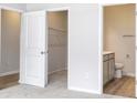 Spacious bedroom with carpet flooring, featuring a walk-in closet and en-suite bathroom at 620 Mccorkle Place, Conway, SC 29526