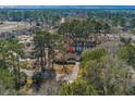 Scenic aerial view of a charming home nestled among lush greenery, mature trees, and a tranquil pond in a desirable neighborhood at 1917 Candy Ln., Surfside Beach, SC 29575