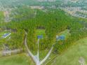 Aerial view of a home nestled in a forest, with a long driveway and expansive grounds at 1930 W Homewood Rd., Conway, SC 29526