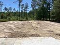 An empty lot features mature trees that provide privacy, ideal for building your dream home with natural surroundings at 8545 Pee Dee Hwy., Conway, SC 29527