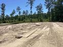 Level lot featuring sand and mature trees providing privacy, giving buyers the opportunity to build their dream home at 8545 Pee Dee Hwy., Conway, SC 29527