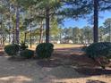 Scenic view of the well-maintained backyard bordering a lush green landscape at 7471 Balmore Dr. Sw, Sunset Beach, NC 28468