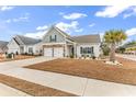 Beautiful home with a two-car garage, complemented by a palm tree and manicured lawn at 500 Canborough Lane, Murrells Inlet, SC 29576