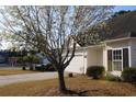 Charming home with lush green front lawn, well-manicured bushes, and a large tree in full bloom at 1307 Chelsea Ln., Longs, SC 29568