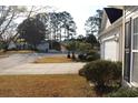 A street lined with lush grass and landscaping, showcasing well-maintained homes, and a palm tree at 1307 Chelsea Ln., Longs, SC 29568