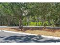 Street view showing curbside mailbox on a wooded lot in a residential neighborhood at 110 Highwood Circle, Murrells Inlet, SC 29576