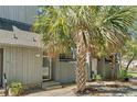View of a gray home exterior featuring a mature palm tree at 7300 Porcher Dr. # 11, Myrtle Beach, SC 29572