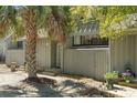 Condo exterior featuring a palm tree, gray wood siding, and well-maintained landscaping at 7300 Porcher Dr. # 11, Myrtle Beach, SC 29572