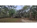 Exterior view of elevated home surrounded by lush trees and natural landscaping at 1030 Waccamaw Lake Dr., Conway, SC 29526