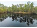 Scenic aerial view of a peaceful pond reflecting the surrounding trees and sky at 1030 Waccamaw Lake Dr., Conway, SC 29526