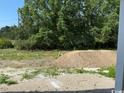 Picture of unfinished backyard with piles of dirt and green trees at 1395 Knotty Branch Rd., Conway, SC 29527