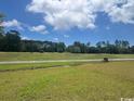 Lush green backyard overlooking golf course at 9738 Indigo Creek Blvd., Murrells Inlet, SC 29576