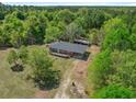 Aerial view showcasing the house surrounded by verdant trees, a large lot, and a shed in the back at 2865 N Nichols Hwy., Nichols, SC 29581