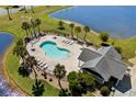 Aerial view of the community pool area, featuring ample seating and palm trees at 356 Whipple Run Loop, Myrtle Beach, SC 29588