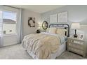 Serene bedroom with a metal frame bed, soft textures, carpet floors, and a relaxing ambiance at 887 Cypress Preserve Circle, Longs, SC 29568
