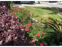 Close-up of the landscaped yard featuring blooming red roses and decorative purple foliage at 1440 Brighton Ave., Myrtle Beach, SC 29588