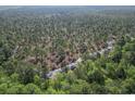Expansive aerial view reveals a dense forest, offering privacy and a connection with nature at 4005 Sweetspire Court, Conway, SC 29526