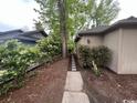 View of the side yard showing walkway and greenery at 116 Hickory Dr., Conway, SC 29526