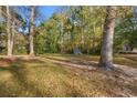 Spacious backyard with mature trees, offering a private and serene outdoor space at 3934 North Fraser St., Georgetown, SC 29440