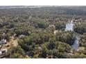 Aerial view showcasing the property's secluded location surrounded by dense trees and bordering a tranquil pond at 487 Lantana Circle, Georgetown, SC 29440