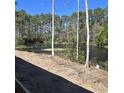 View from home's backyard featuring a serene pond surrounded by trees, offering a peaceful, natural setting at 1028 Colette Ct, Conway, SC 29526