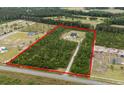 Expansive property showcasing a beautiful home nestled amidst lush greenery in a private, natural setting at 1763 Hemingway Rd., Loris, SC 29569