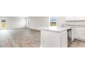 Modern kitchen with stainless steel appliances, countertops, and hard surface flooring at 1009 Garden Sprout Dr, Galivants Ferry, SC 29544