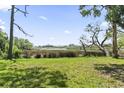 A picturesque backyard featuring lush grass, beautiful trees and view of the waterway at 400 Elizabeth Dr., Murrells Inlet, SC 29576