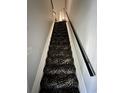 The carpeted stairway has a distinctive zebra pattern and a black handrail at 755 Burcale Rd. # G4, Myrtle Beach, SC 29579