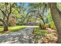 A traditional home with mature landscaping, showcasing a long driveway and charming curb appeal at 2382 Waverly Rd., Pawleys Island, SC 29585