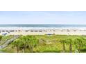 Panoramic beach view featuring palm trees and pristine sands providing a serene and inviting coastal experience at 1625 S Ocean Blvd. # 309, North Myrtle Beach, SC 29582
