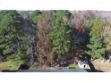 Expansive aerial view showcasing the neighborhood's lush tree cover, shed and privacy fence at 1089 Weslin Creek Dr., Myrtle Beach, SC 29588