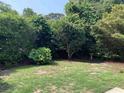 Lush backyard with mature trees and shrubs offers privacy, a bird bath, and tranquil outdoor living at 1432 Seahouse Ct., Surfside Beach, SC 29575