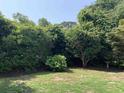 Secluded backyard featuring mature landscaping, lush greenery, and a tranquil garden at 1432 Seahouse Ct., Surfside Beach, SC 29575