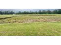 A view of a large green field in the backyard shows space and quietude at 181 Norris Ln, Loris, SC 29569