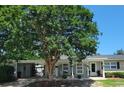 Charming single-story home with a brick facade, covered porch, and a mature tree at 610 Hibiscus Ave. # 610, Myrtle Beach, SC 29572
