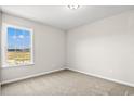 A simple and well-lit bedroom with neutral walls and carpet, featuring a large window at 651 Snowy Owl Way, Conway, SC 29527
