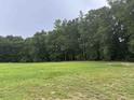 Expansive lot with lush grass and mature trees, offering a serene and private setting at 71 Mohican Dr., Georgetown, SC 29440