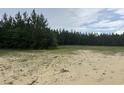 Scenic land with mature trees, offering natural beauty and privacy at 71 Mohican Dr., Georgetown, SC 29440