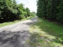 Scenic road with lush trees on either side creating a picturesque view at 742 Se Hebron Dr., Conway, SC 29527
