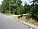 View of the street in front of the property with lush greenery at 742 Se Hebron Dr., Conway, SC 29527