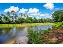 Scenic backyard featuring a tranquil pond and lush green landscaping at 4570 Fringetree Dr., Murrells Inlet, SC 29576